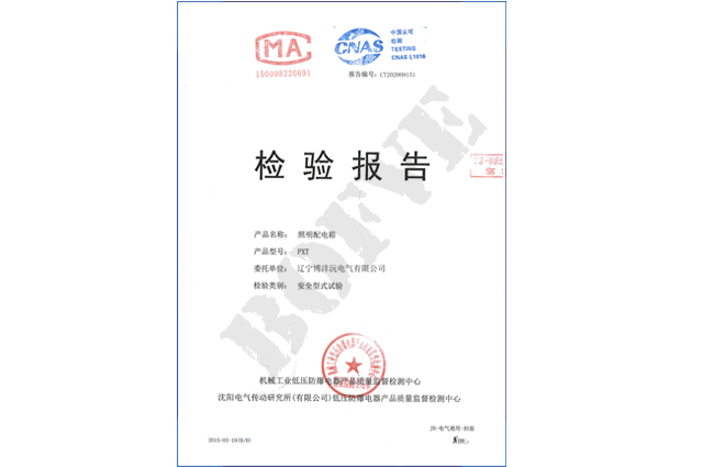 PXT照明配电箱检验报告
